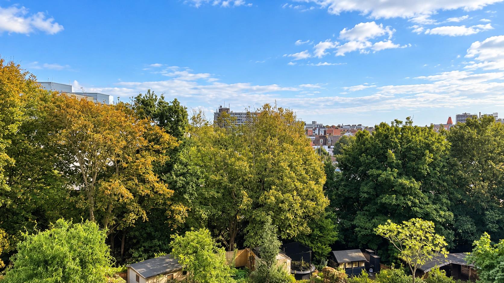 Braybrooke Road, Hastings